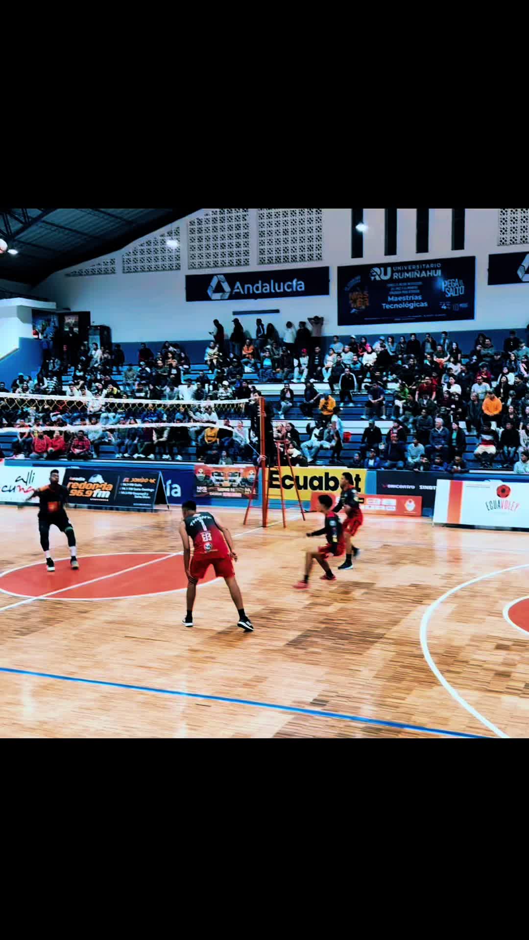 @Ecuavoley Guagua Pan 🙂↕️🏐