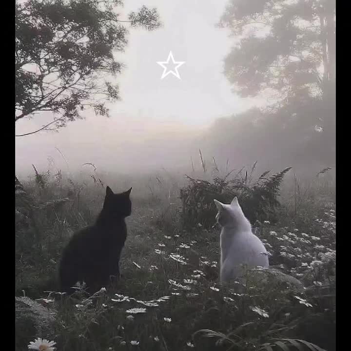 @Haru_00