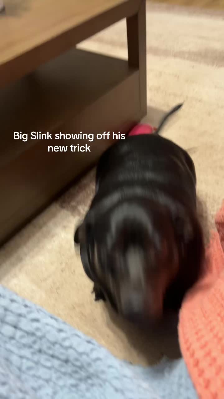 @BenSlinkdawg