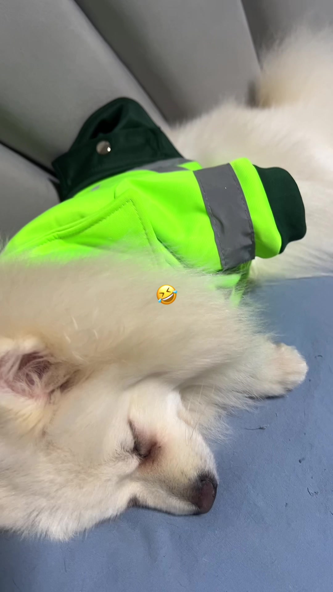 @๐ฌ๐๐๐๐๐ ๐น๐๐๐๐