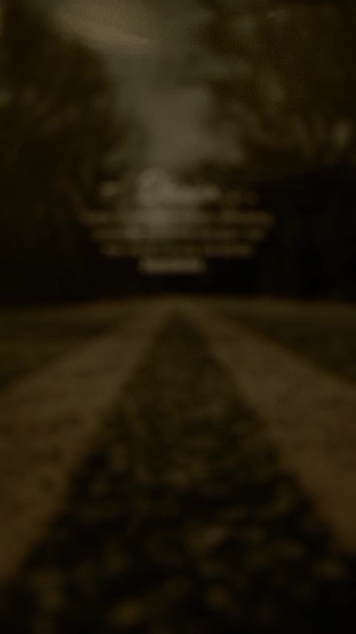@❤︎✿︎♫︎_꧁🆂🆈🅰🅵🅸🆁🅷🅰꧂_♫︎✿︎