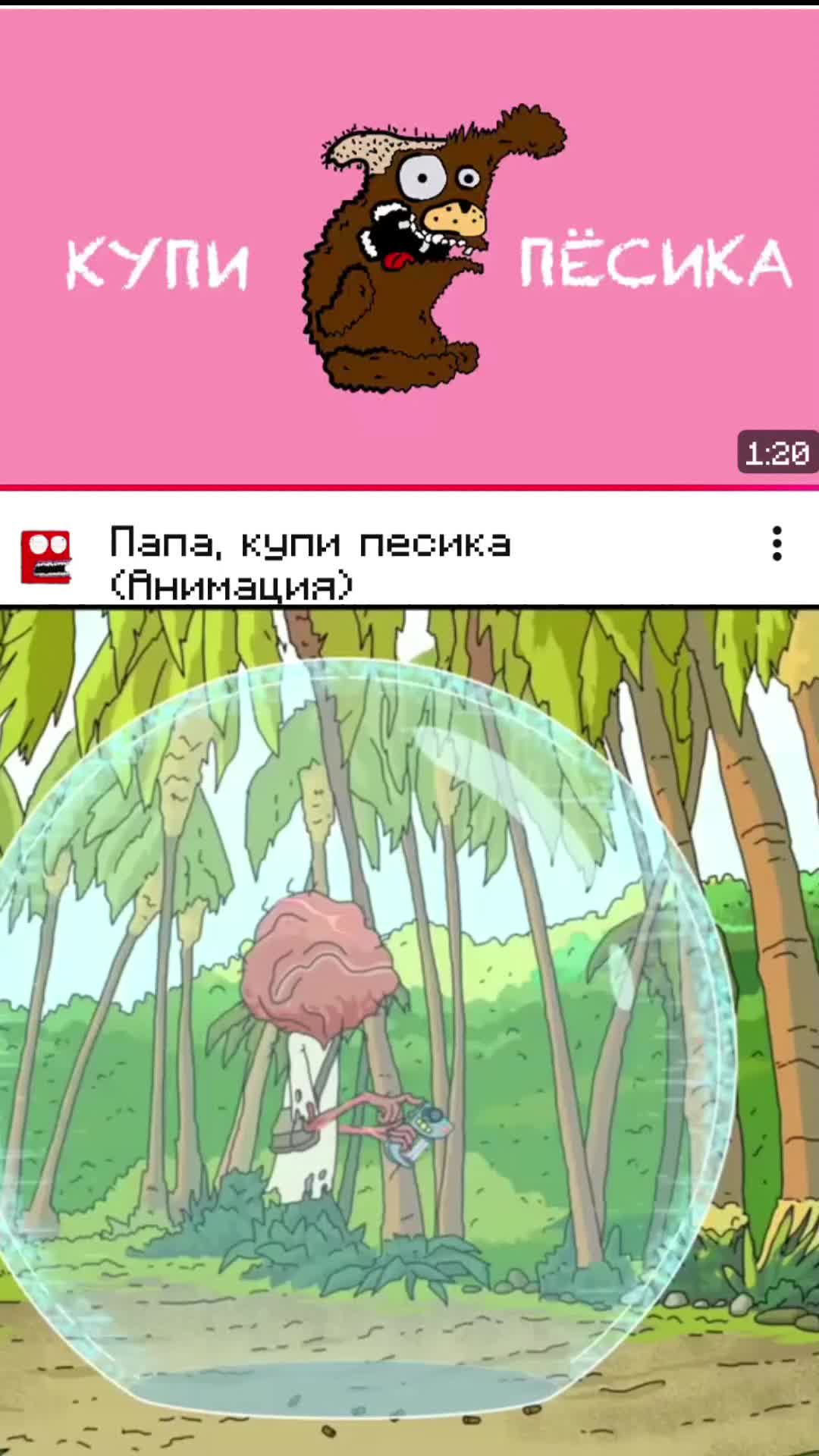 @𝔅𝔞𝔫𝔞𝔫𝔞𝔓𝔯𝔬𝔠𝔥𝔦𝔨