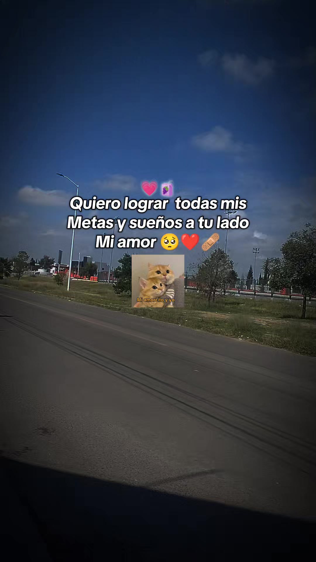 @💓🔥 la flaca 🐨🪷