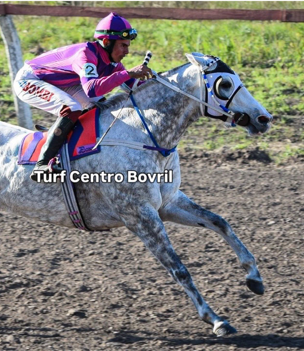 @TURF CENTRO BOVRIL