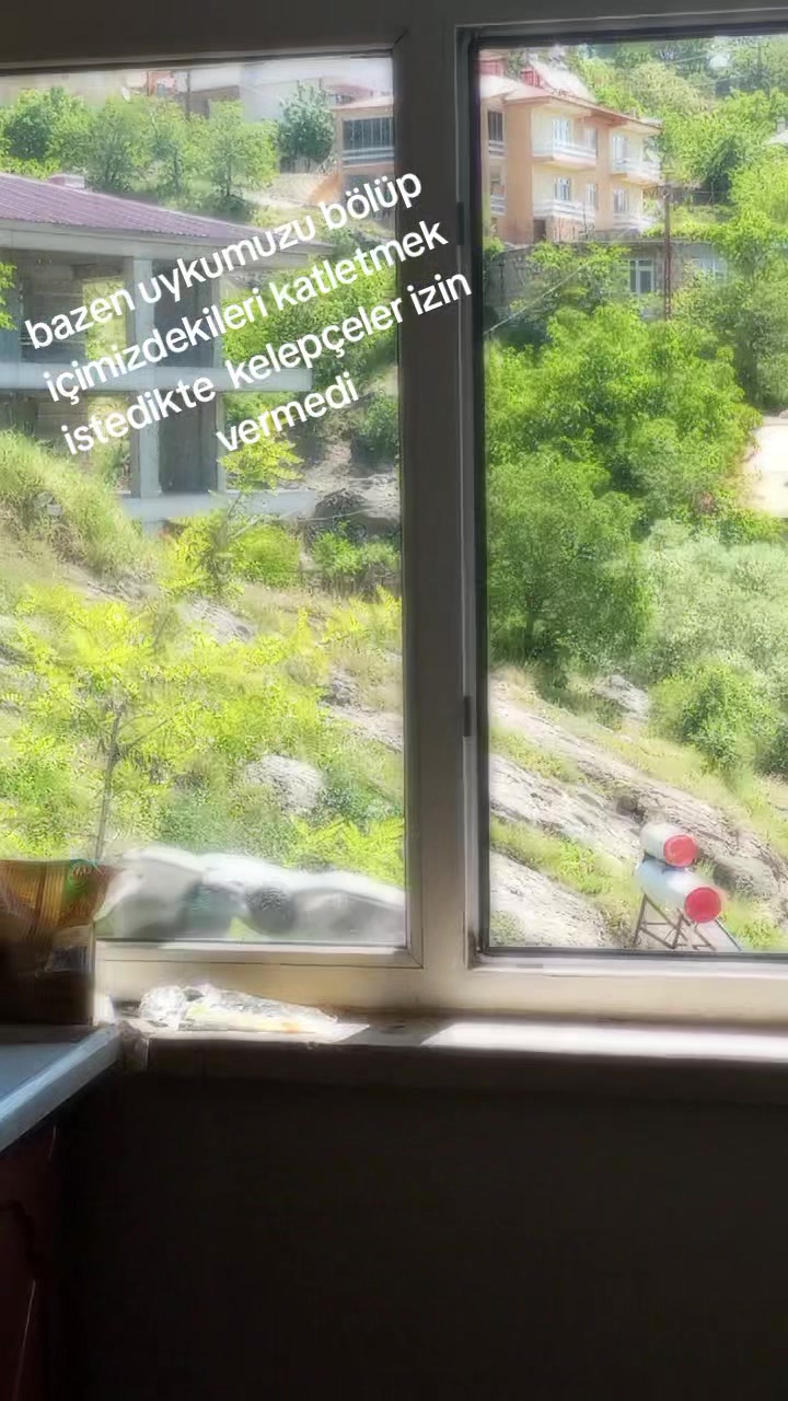 @ANKA KUŞU KÜLLERiNDEN DOĞUŞU