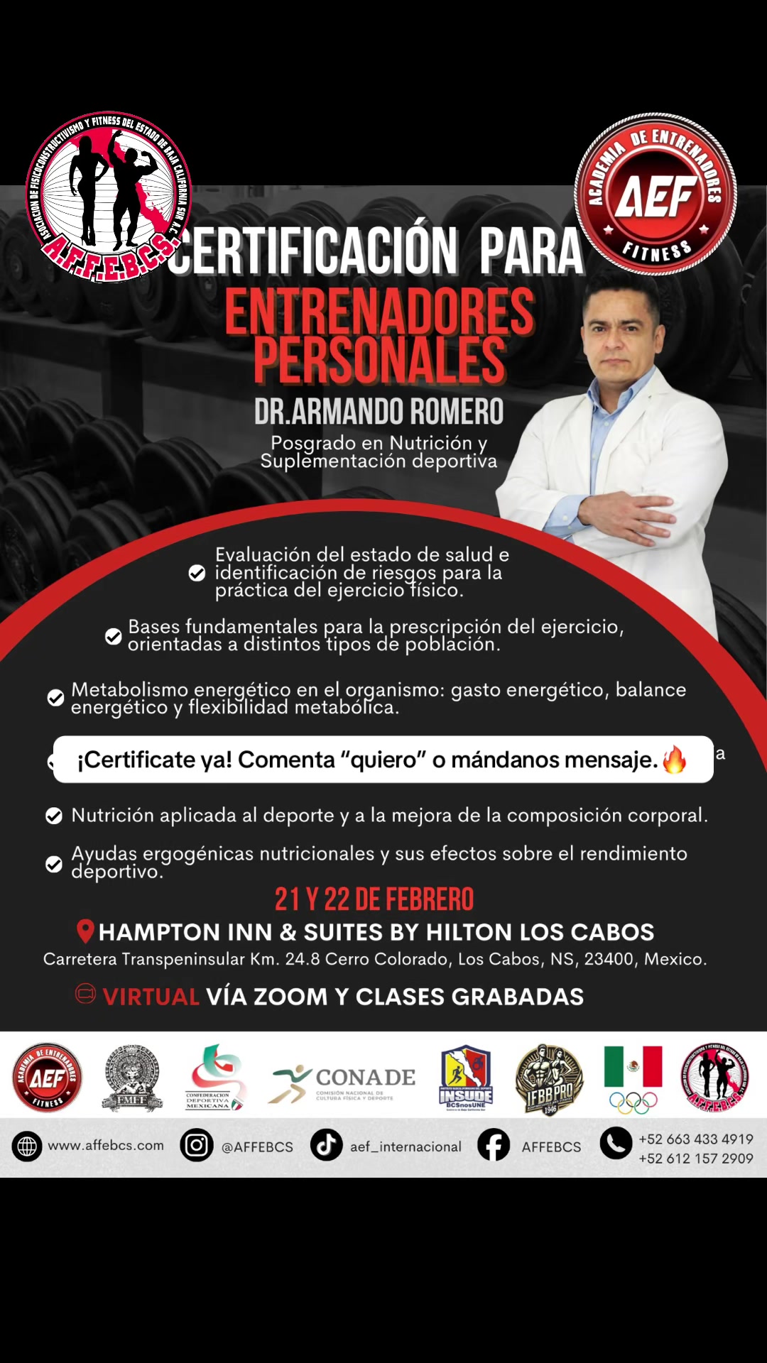 @aef_internacional