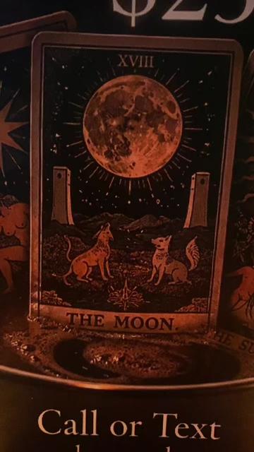 @Moonlight Tarot Cafe