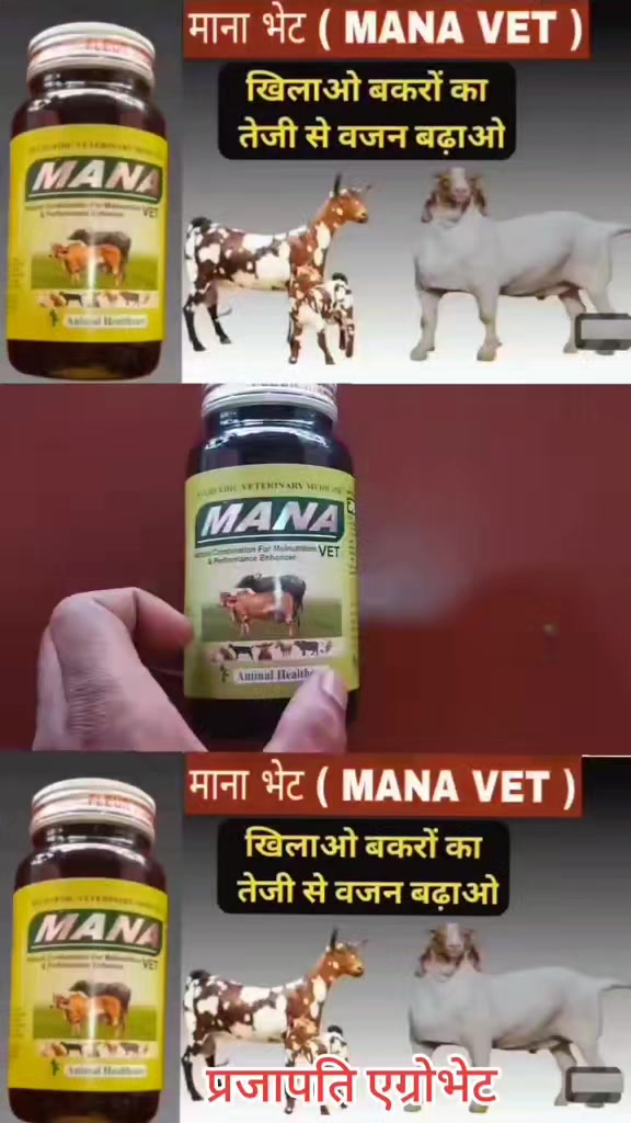 @Prajapati Agro Vet