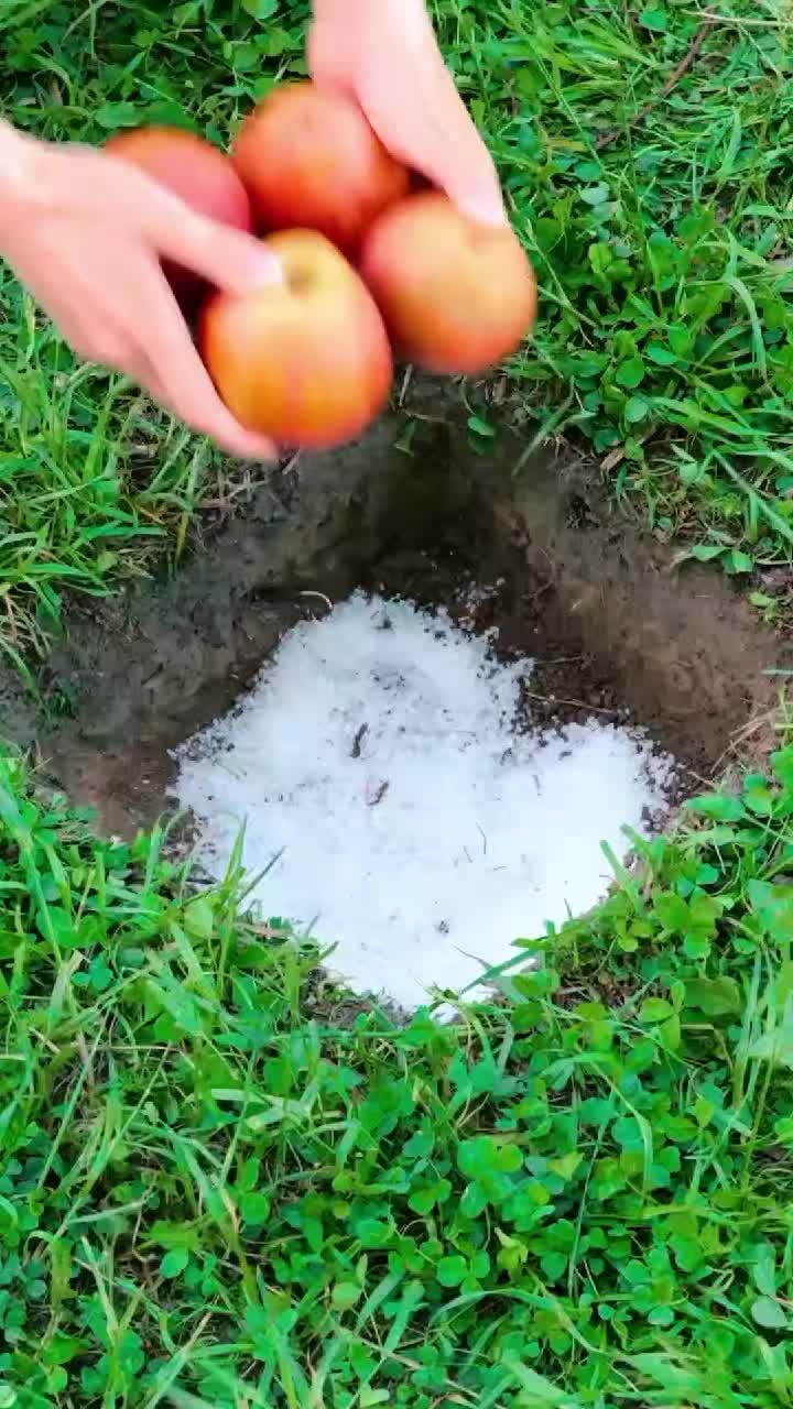 @5-Minute Crafts shorts