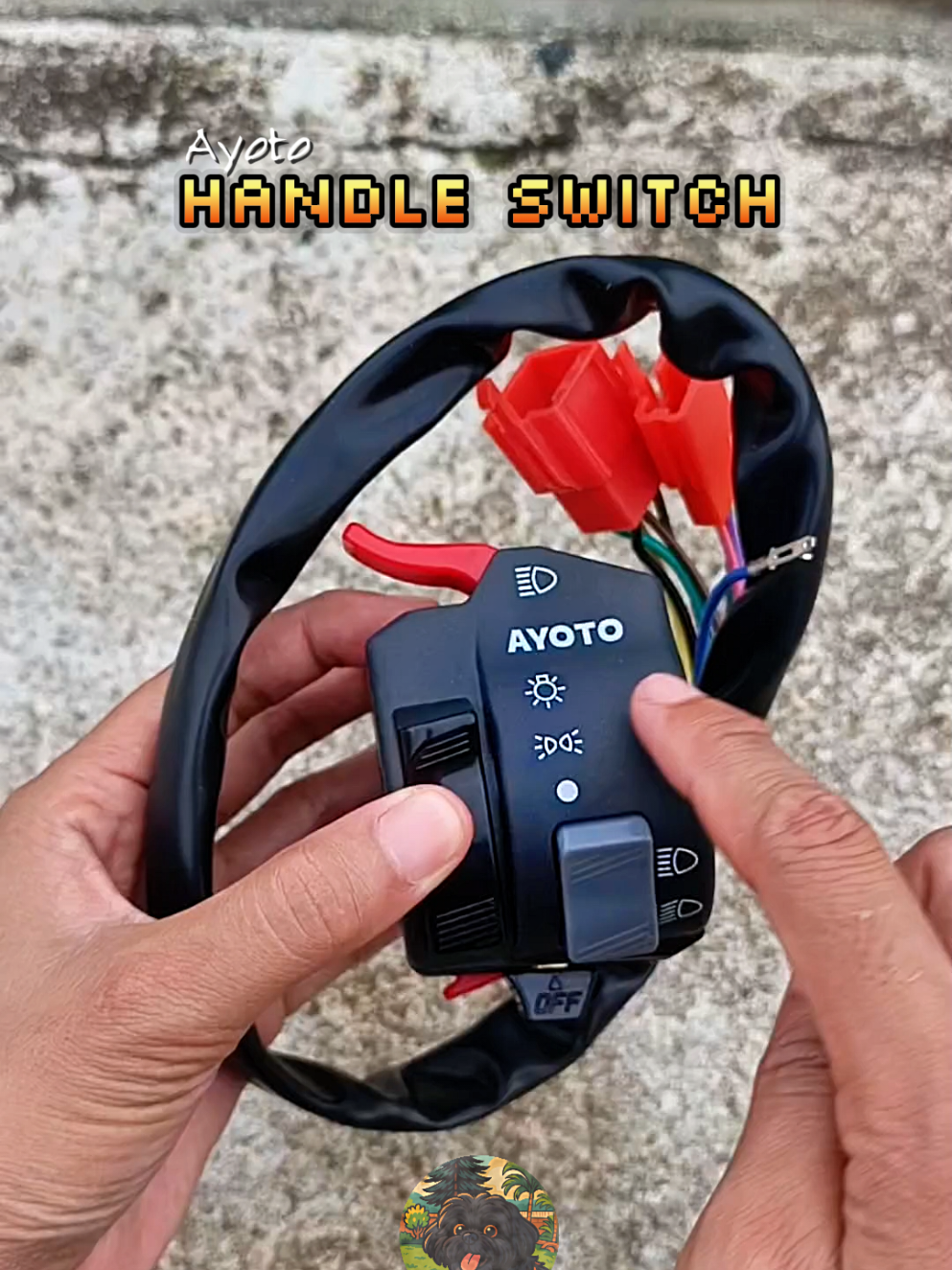 @𝖯𝗂𝖼𝗄𝗅𝖾 ᡣ𐭩