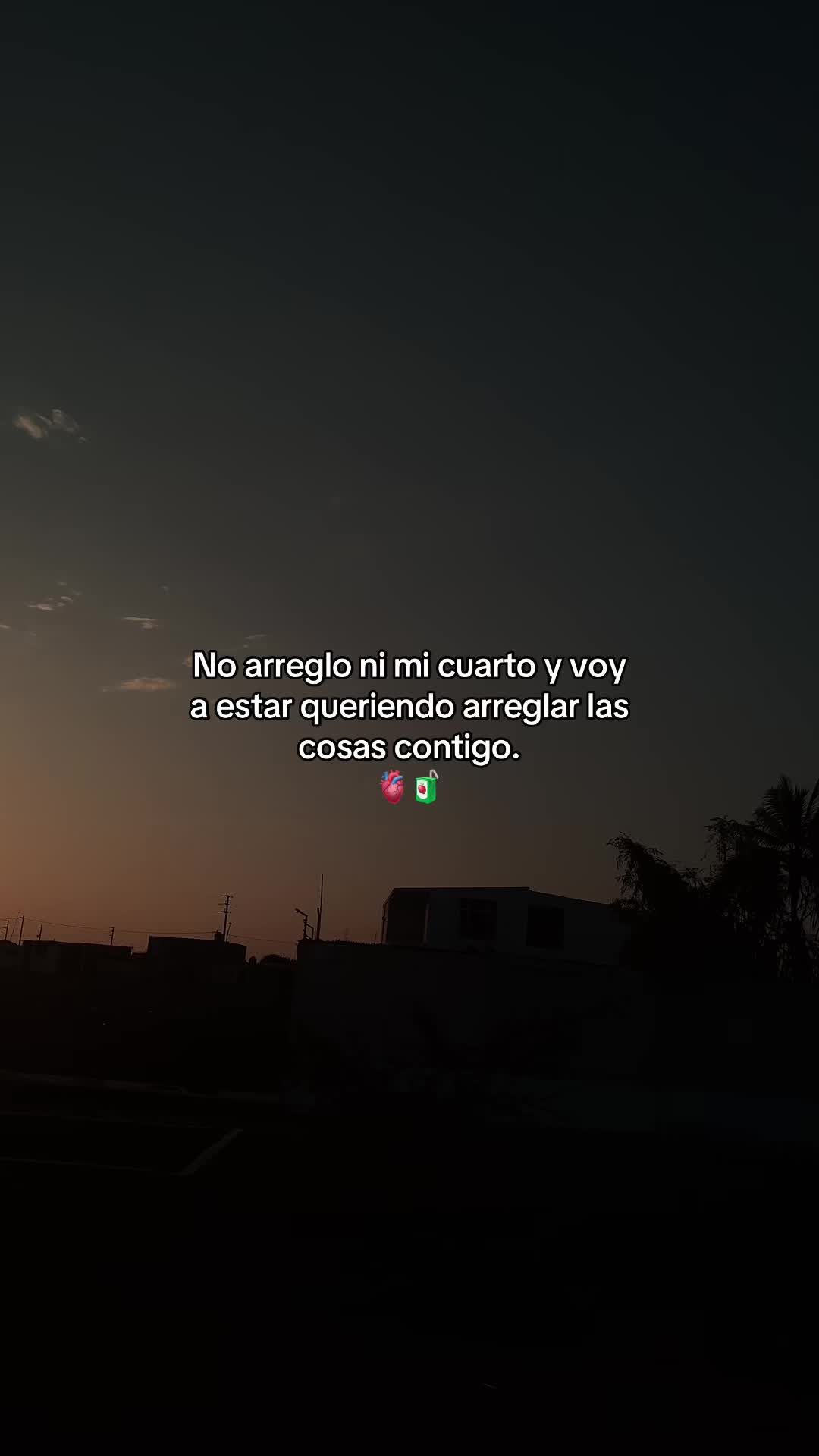 @Gatocix 🐱