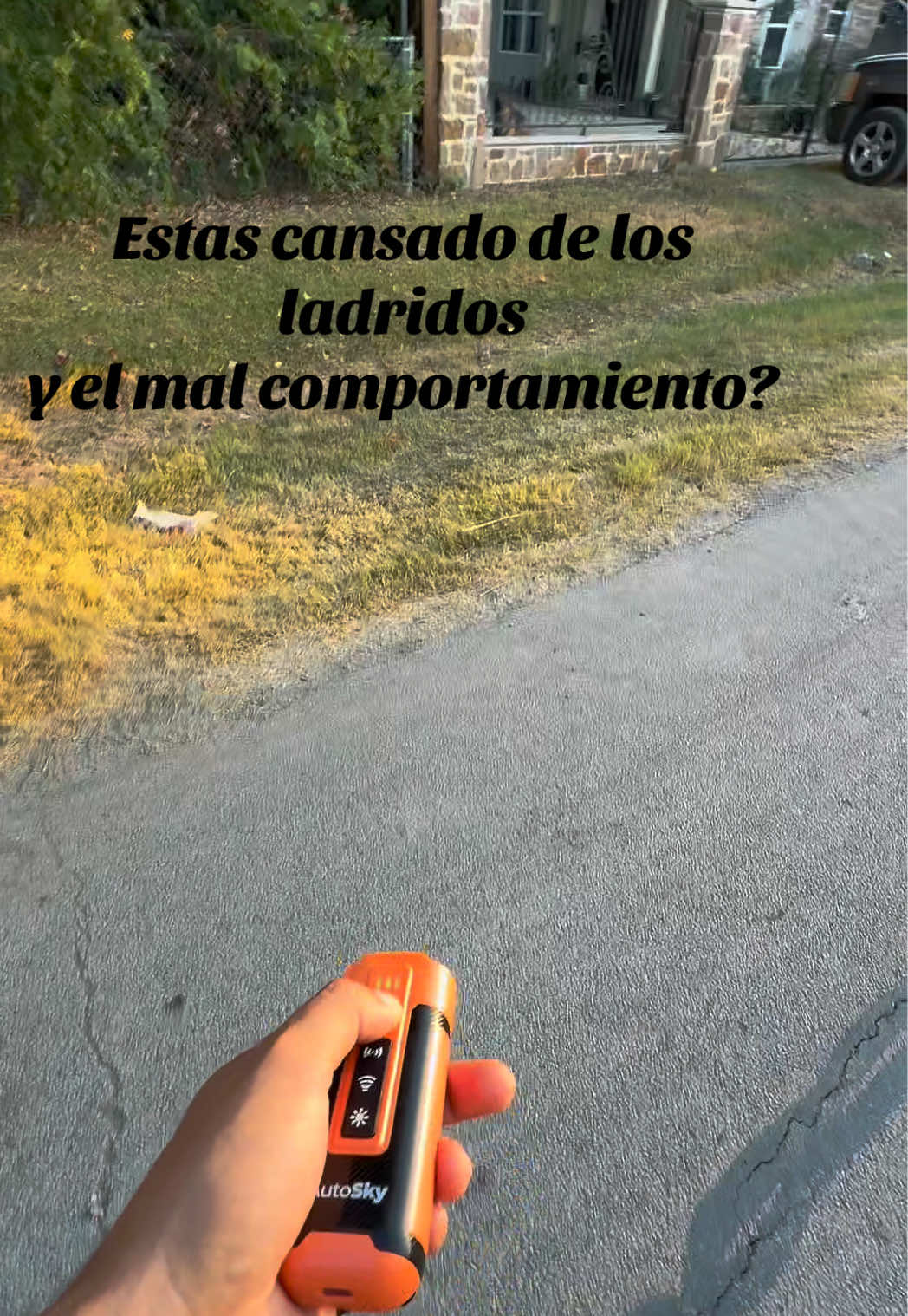 @Lalo Tapia
