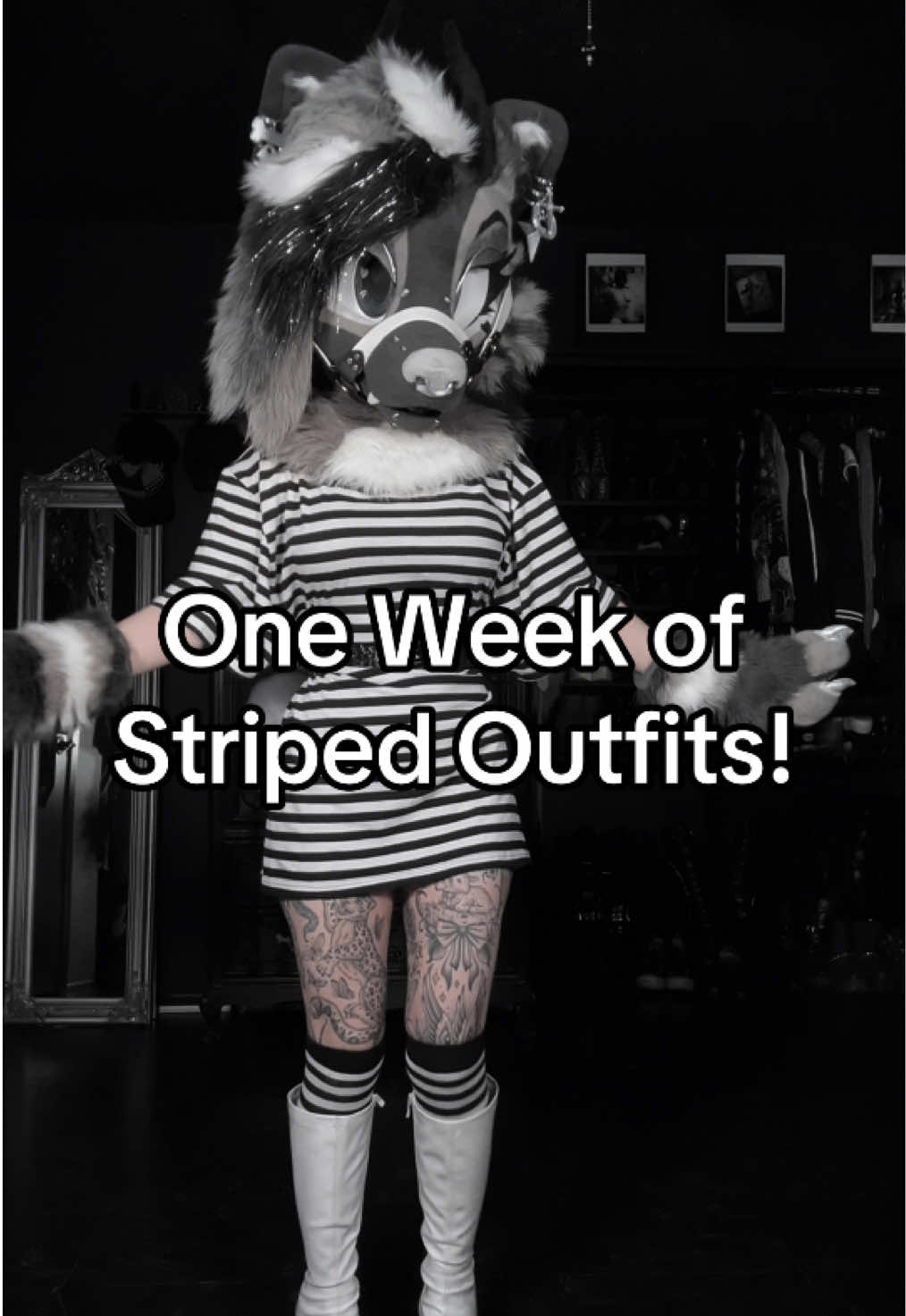 @moxie_claws