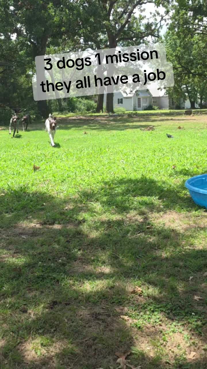 @GSP Family