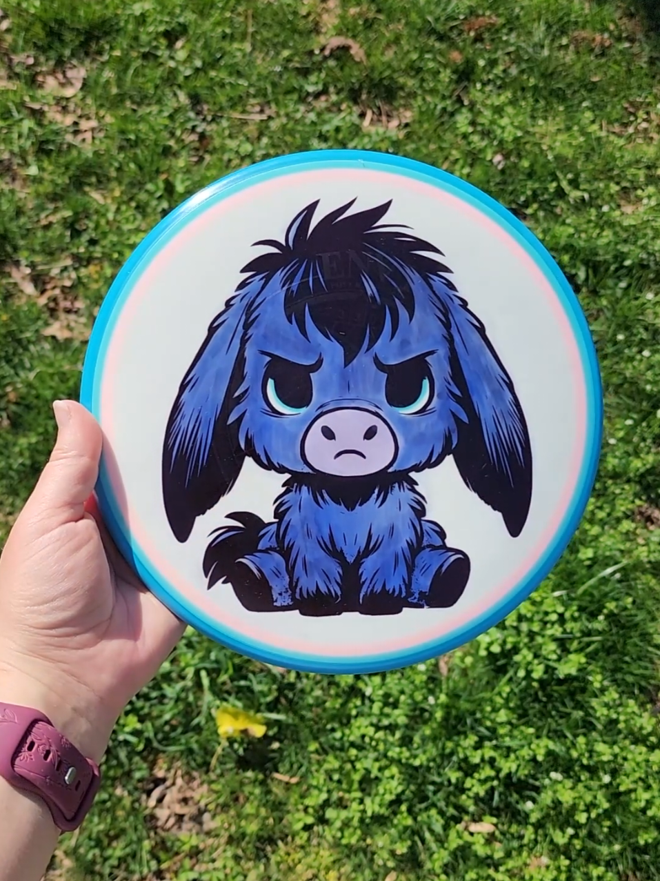 @DiscDyesByMelissa