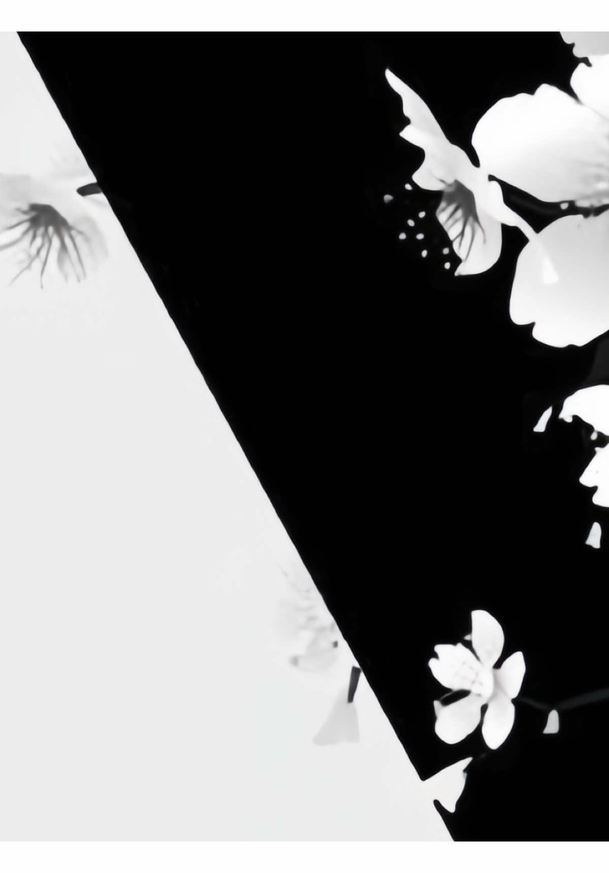 @𝐀 𝐑 𝐅 𝐍