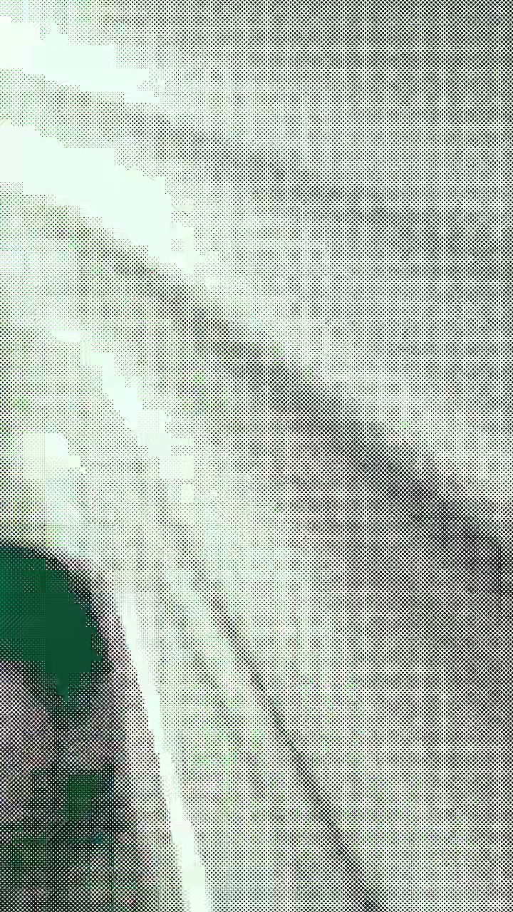 @snvzz2
