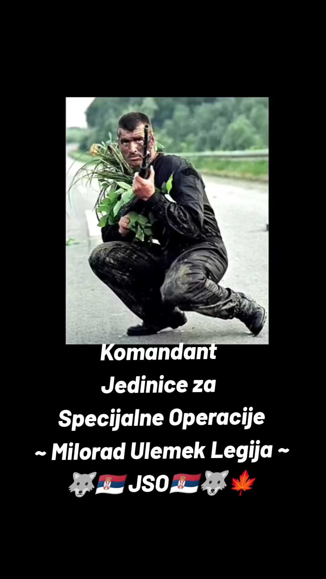 @vidar_rs