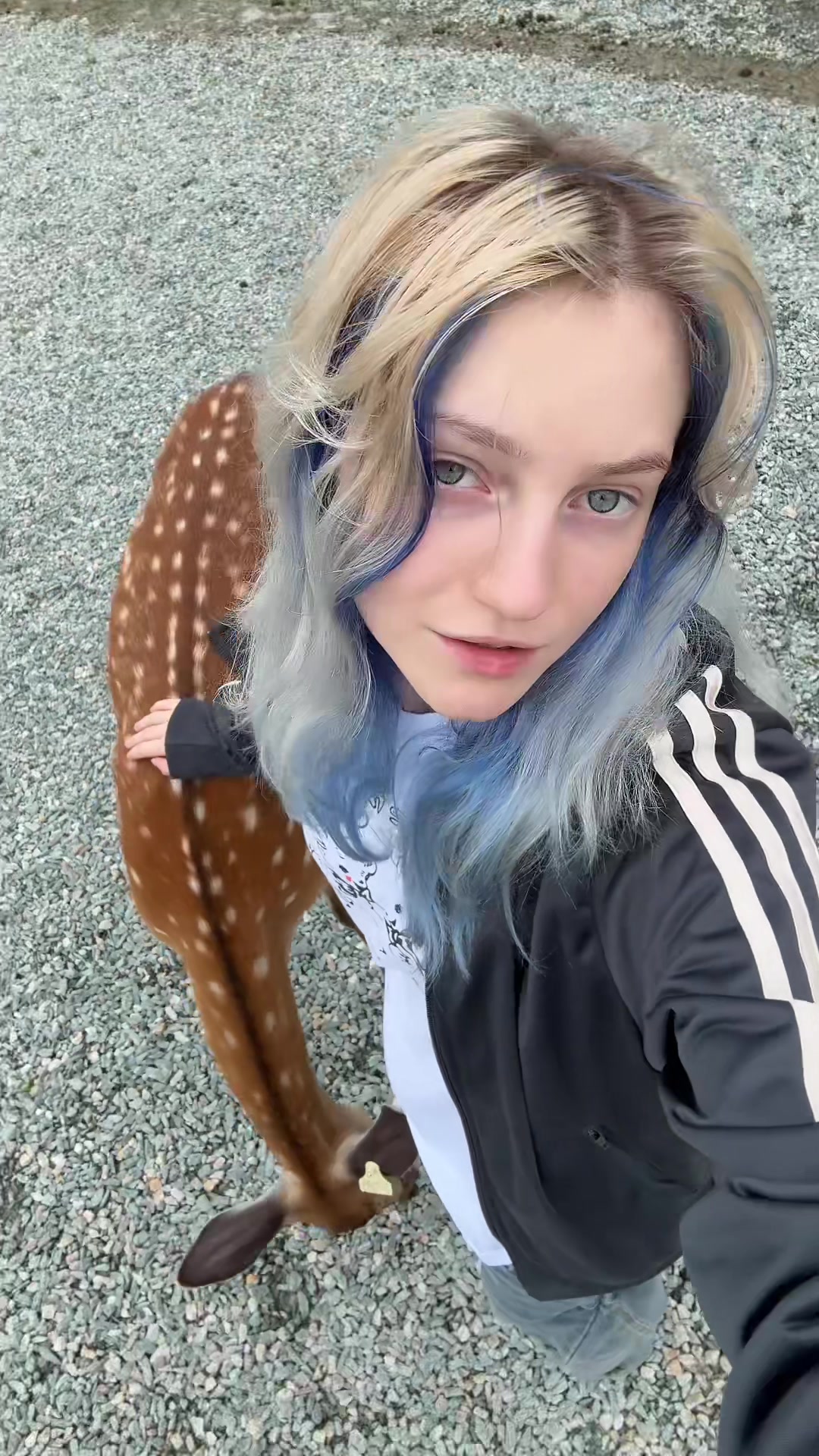 @sanchousss