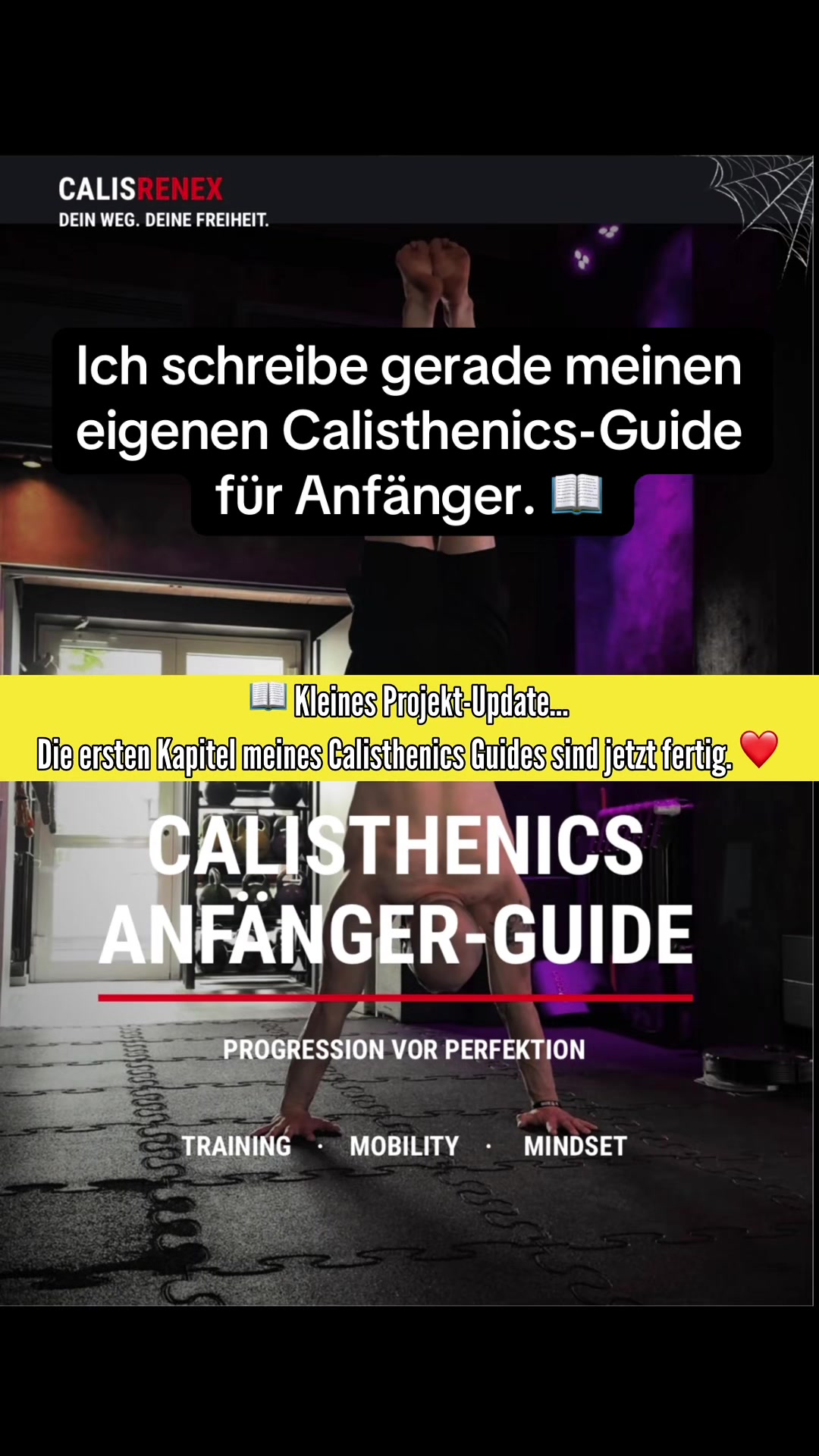 @CalisReneX