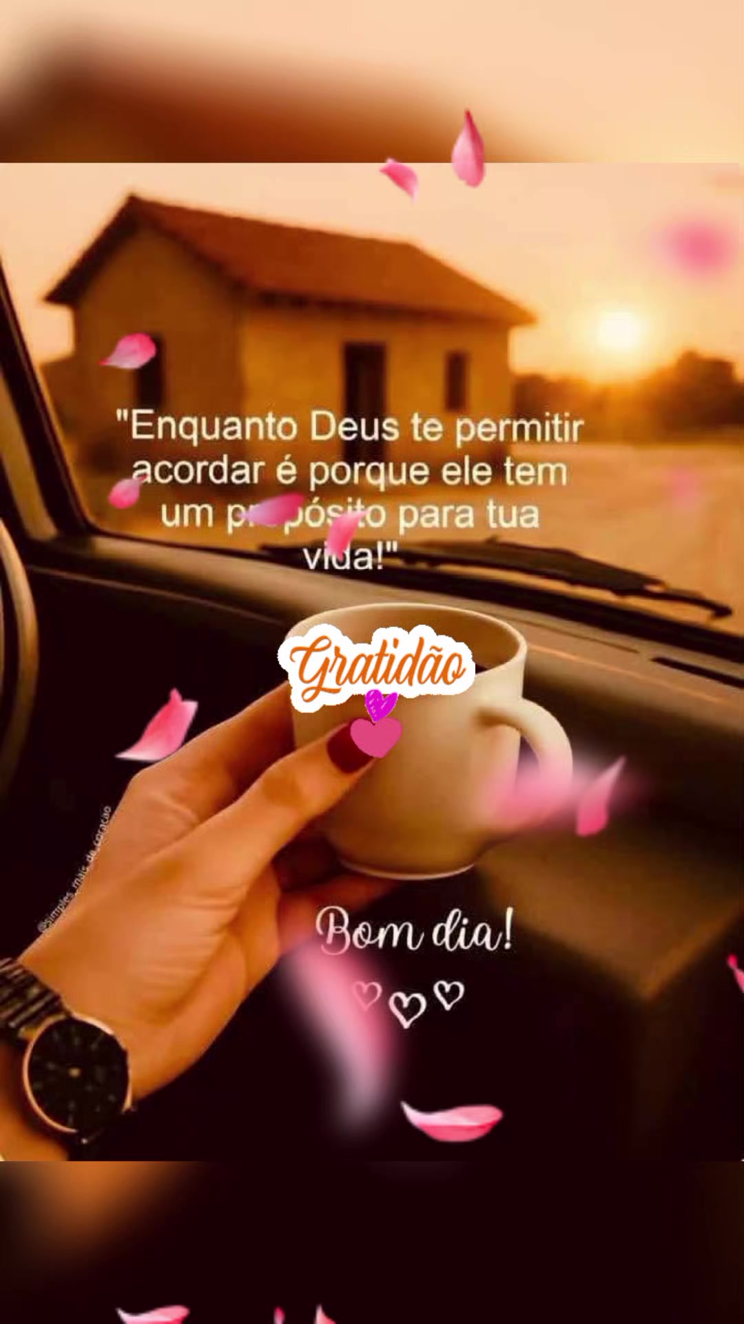 @Valdirene Soares 37