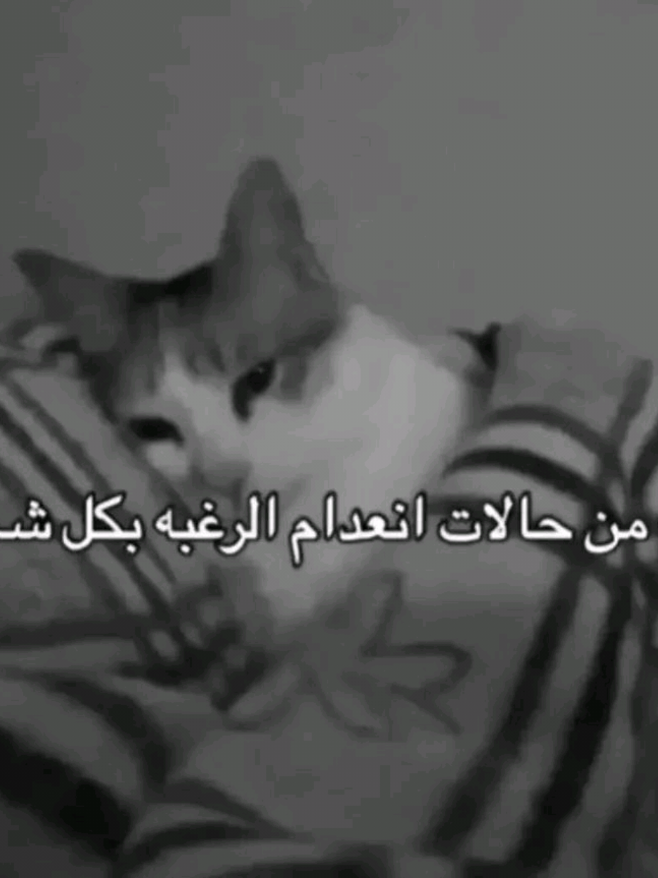 @reemzz