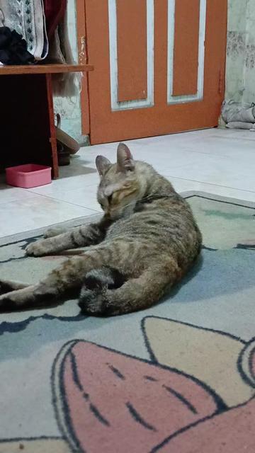 @Nasri Sulaiman