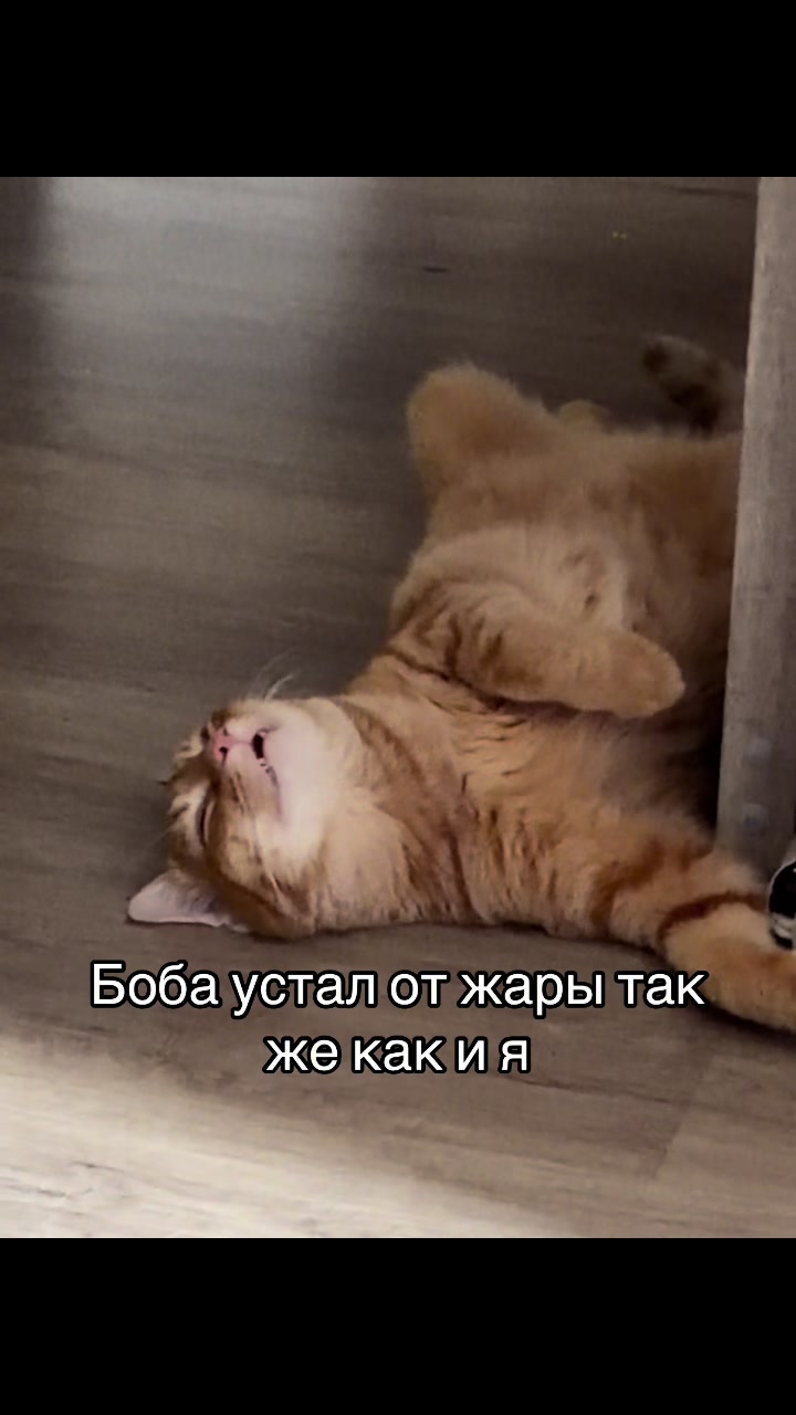 @кастрюля