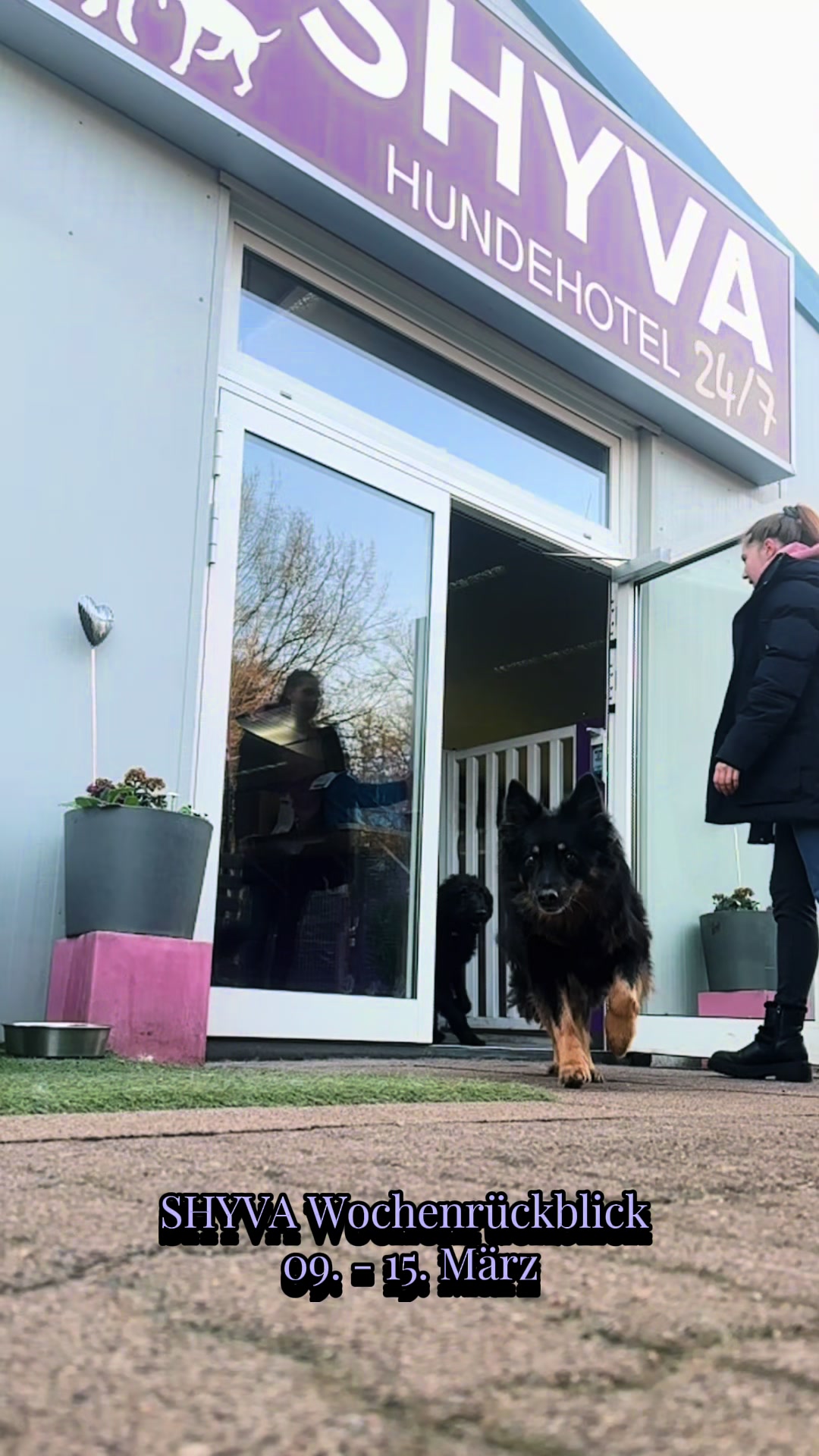 @Shyva Hundezentrum