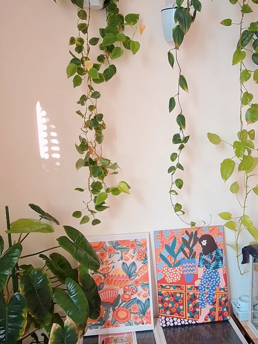 @Sara | Indoor Plants | 🇲🇾