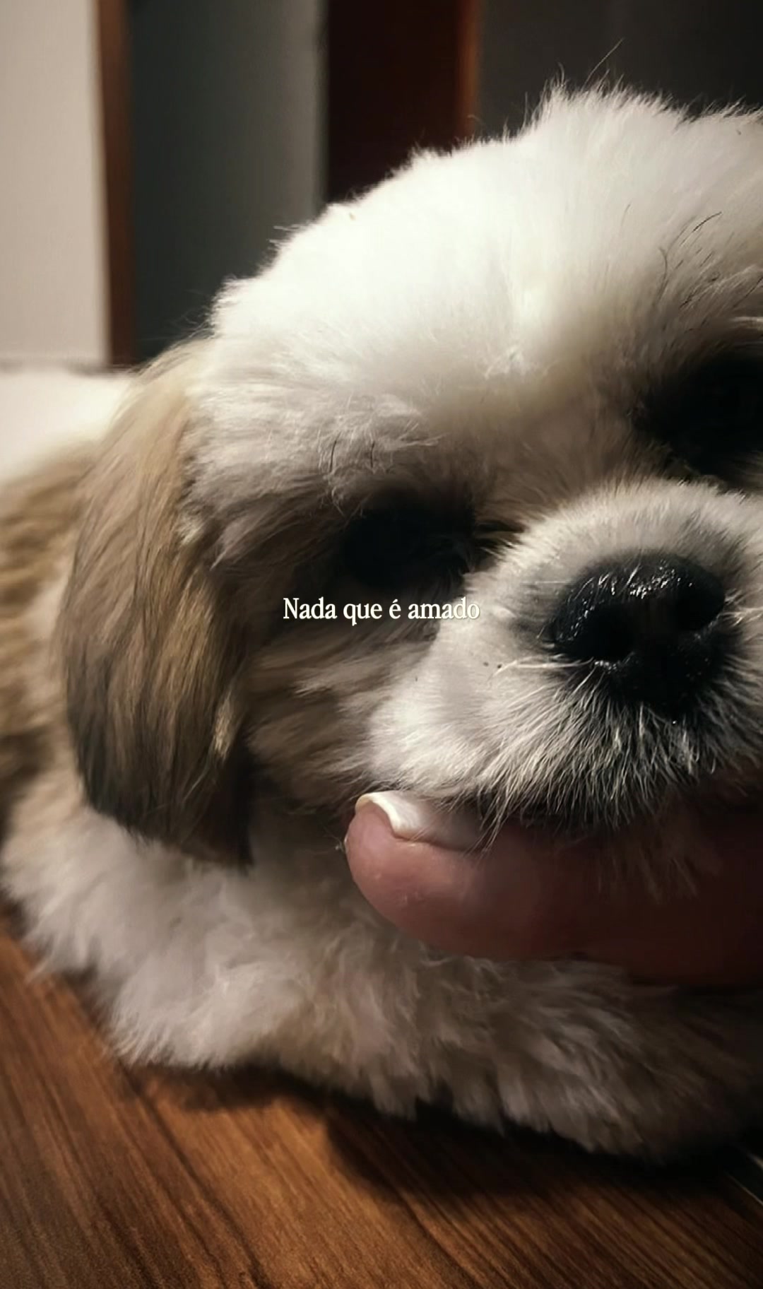@Eliane Santos