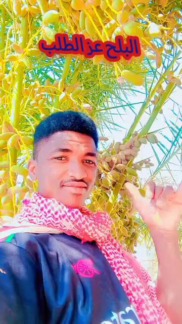 @حامدشعيب ودشمار 🇸🇩🇳🇬⚔️