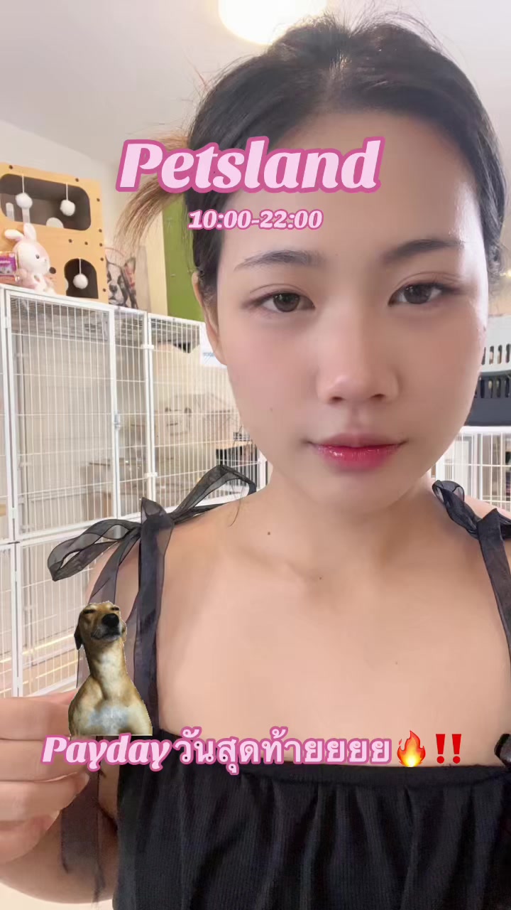 @petsland