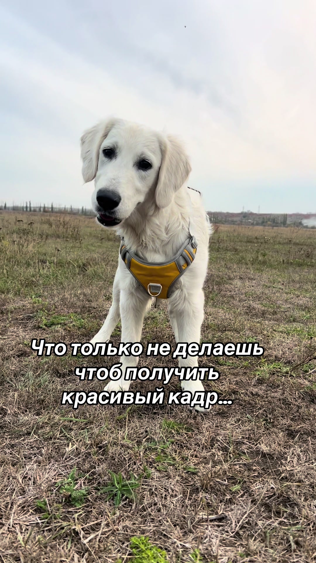 @𐔤ɯᥲᥴⲧыύ ⲙᥲρ᥈υ🥏