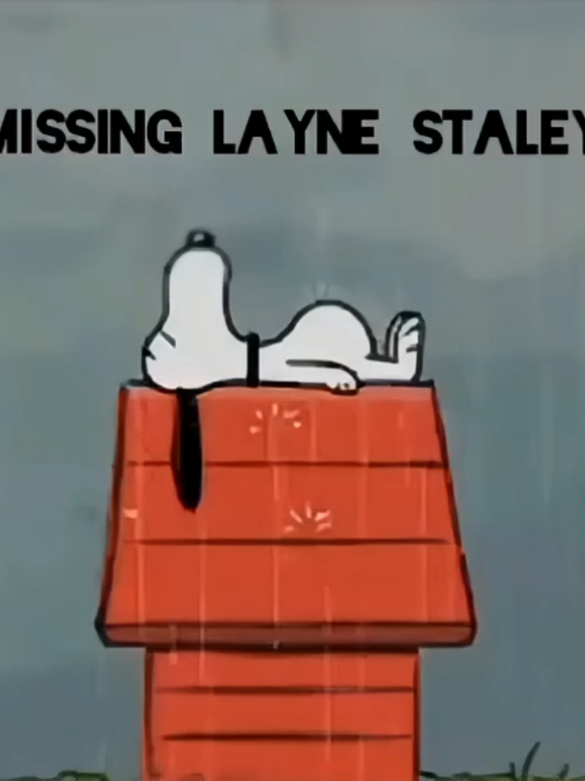 @Shine on Layne