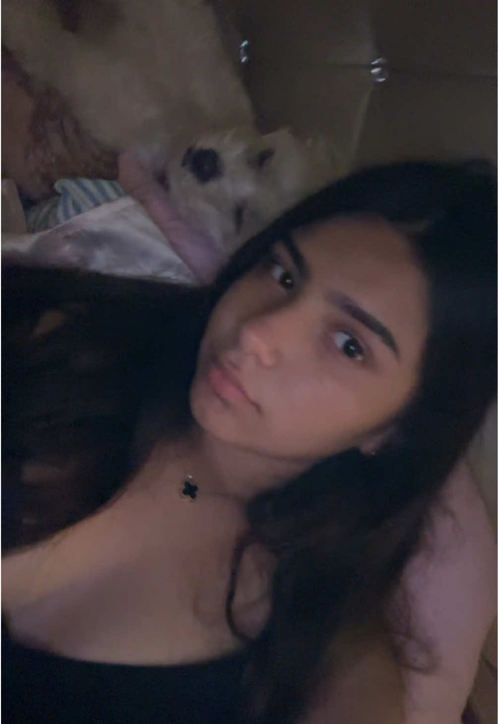 @fabialicious