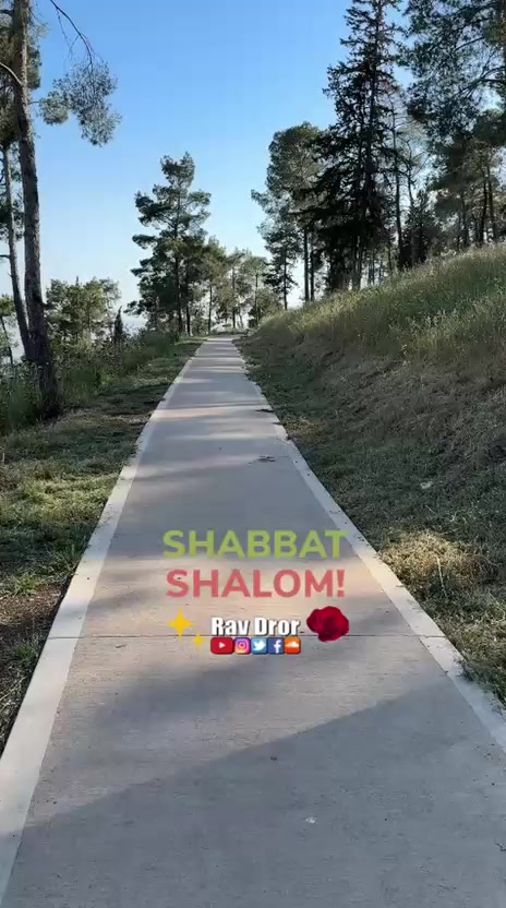 @Rav Dror