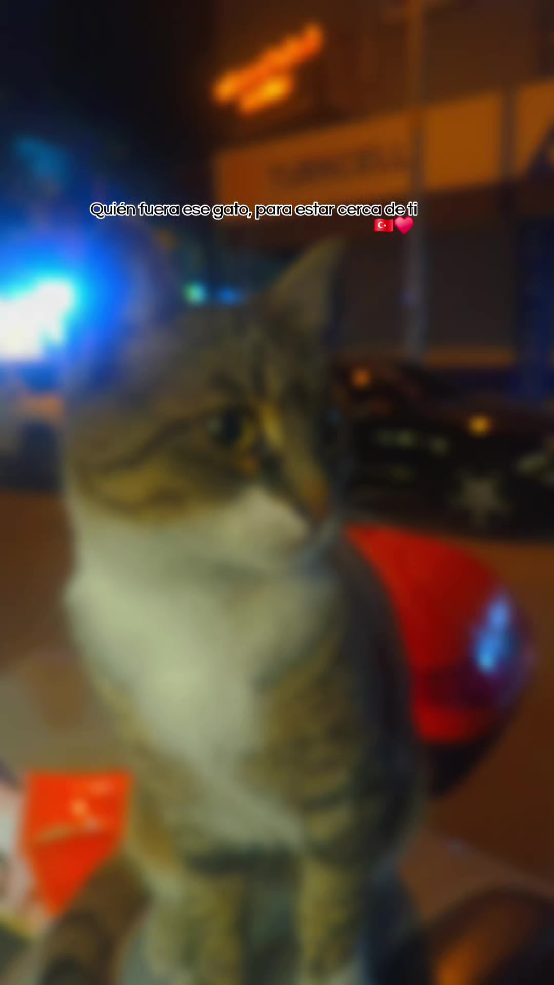 @๐๐๐ฃ๐๐ ๐ฆโค