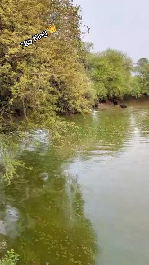 @چوہدری نثار مندیال