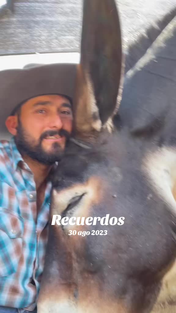 @franciscoramirez0ficial
