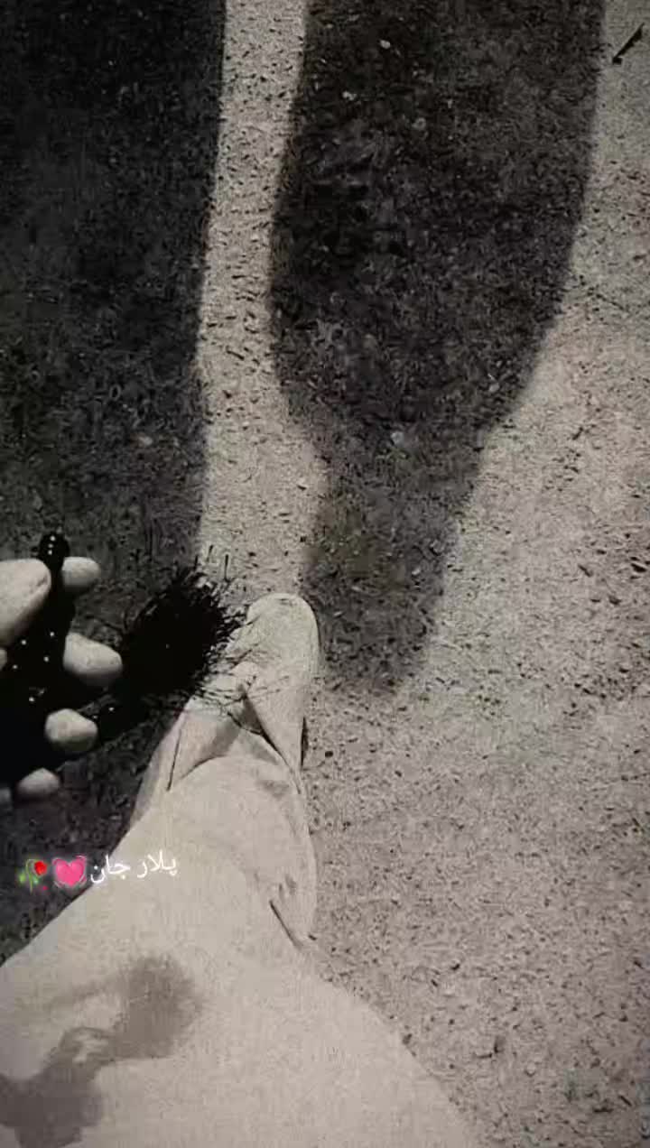 @𝐒𝐀𝐋𝐎𝐨