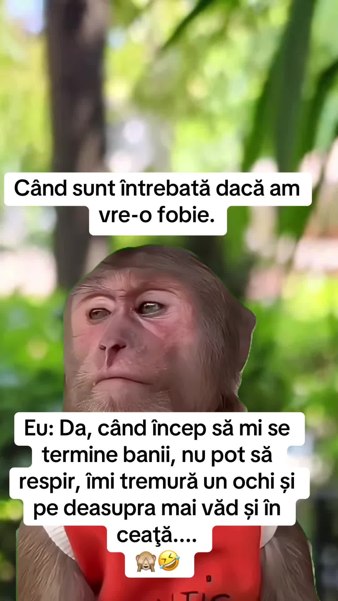 @*ð¢ðªð«ð»ðð€ð²ð©