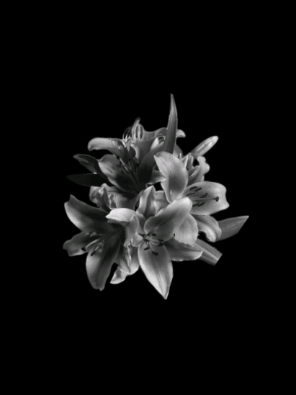 @𝐒𝐓𝐀𝐑'𝐒