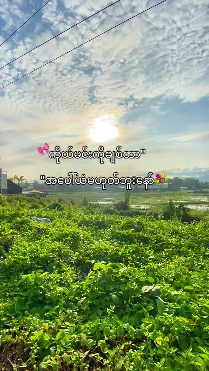 @Myo min