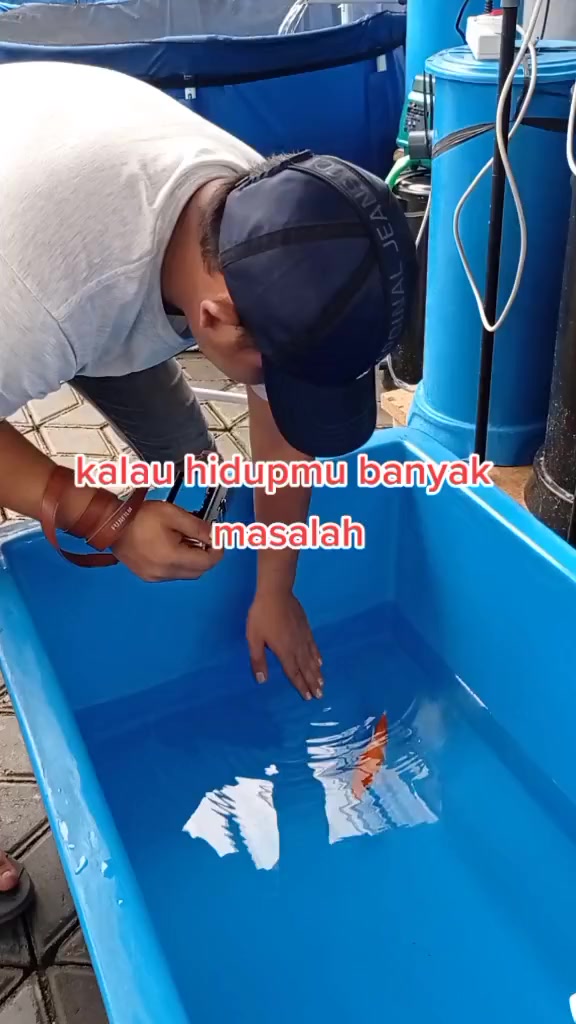 @guente koi