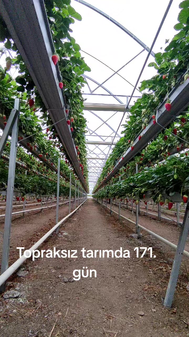 @Kartes Tarım Danışmanlık