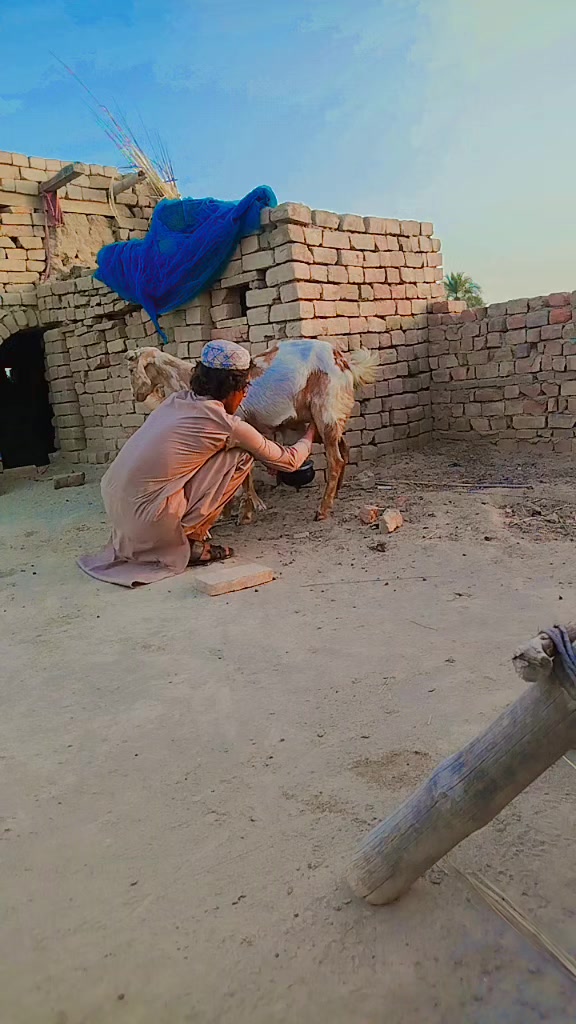 @sulemankhan8347192
