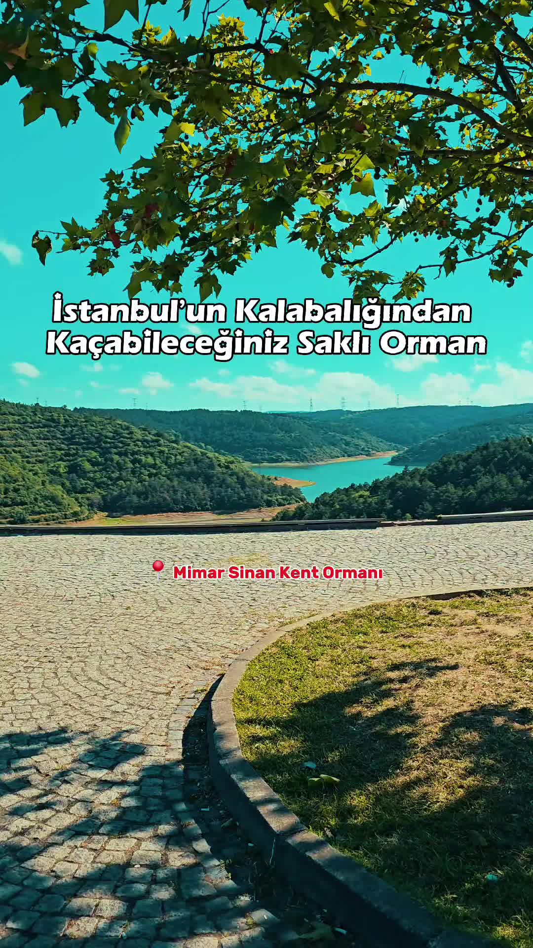 @duslerdeistanbul
