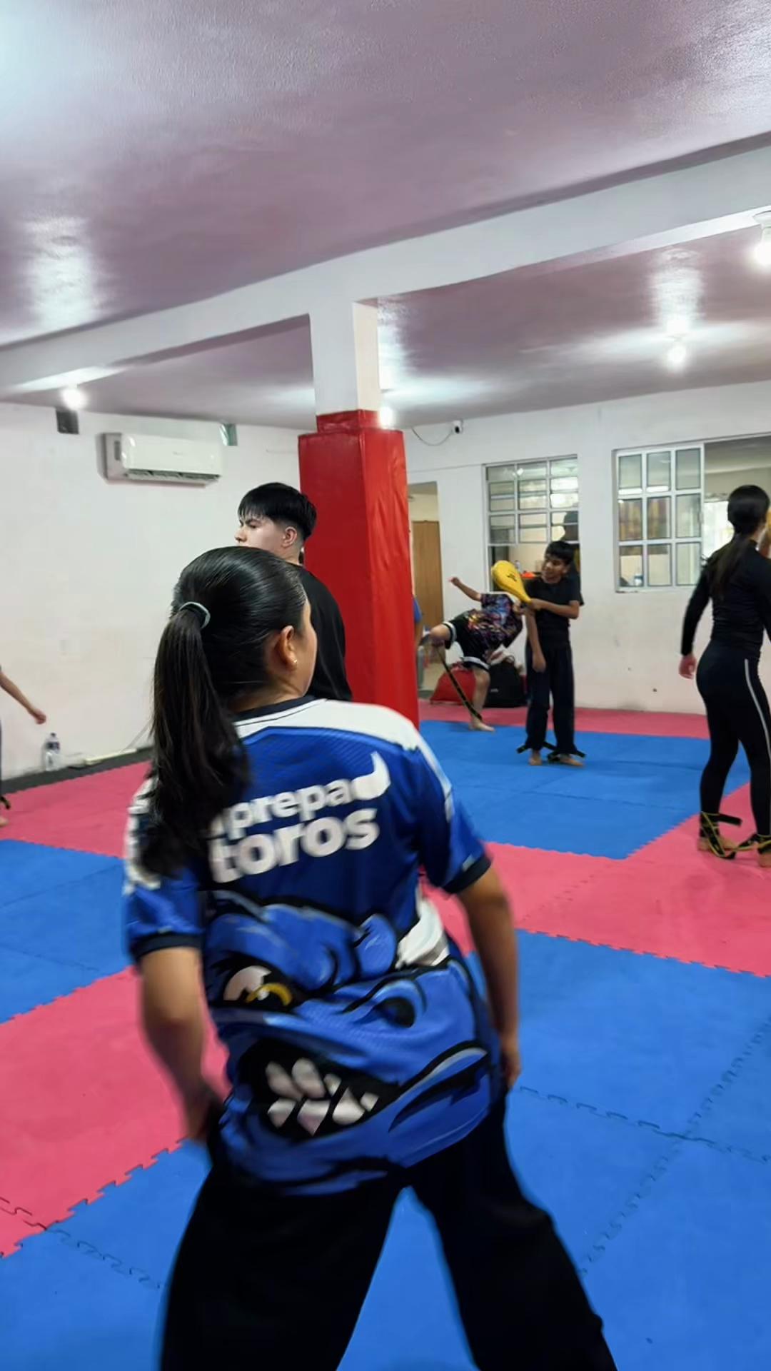@taekwondolionsteam