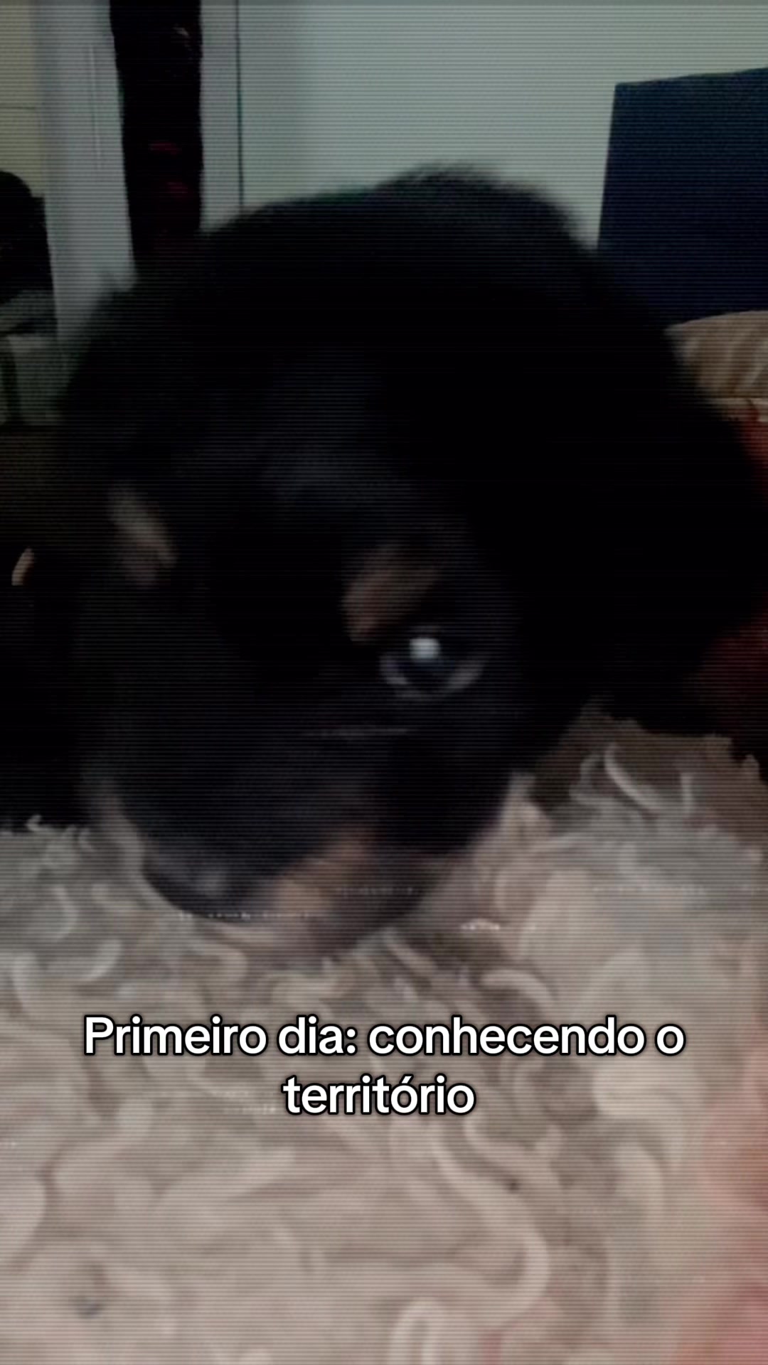 @Celly Trancista